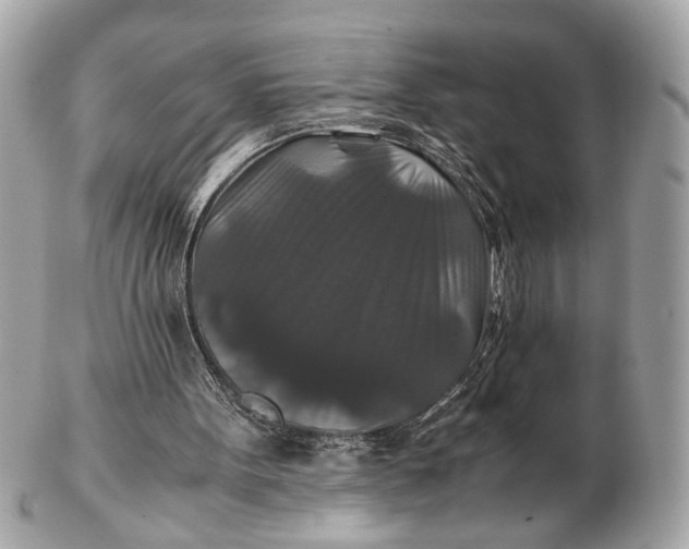 X0000102510099200808291743