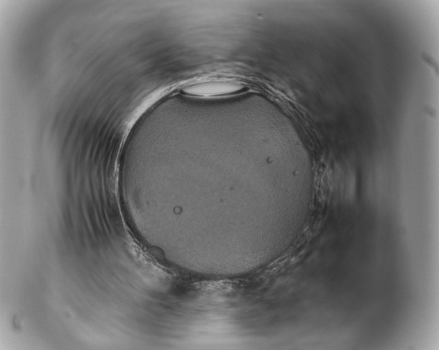 X0000102510100200808291743