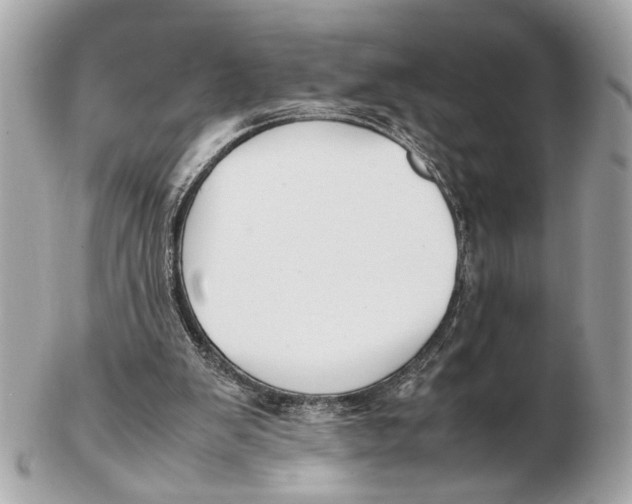 X0000102510103200808291743