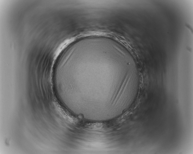 X0000102510104200808291743
