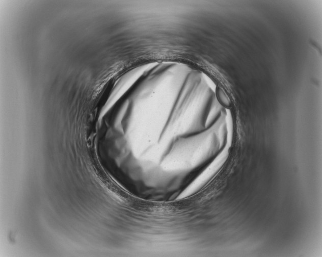 X0000102510105200808291743