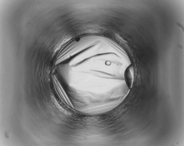 X0000102510106200808291743