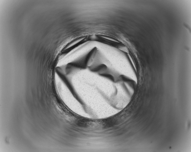 X0000102510107200808291743