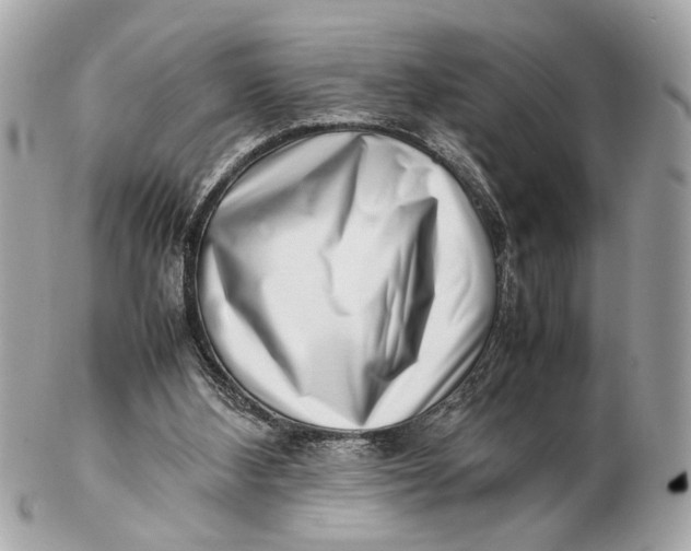 X0000102510108200808291743