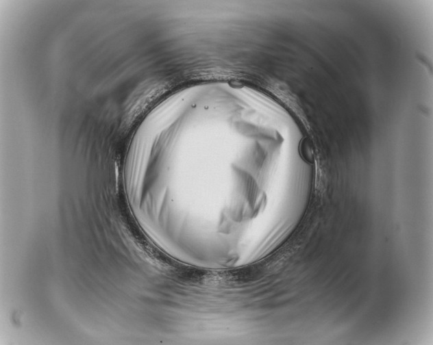 X0000102510109200808291743