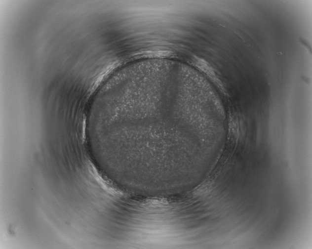 X0000102510110200808291743
