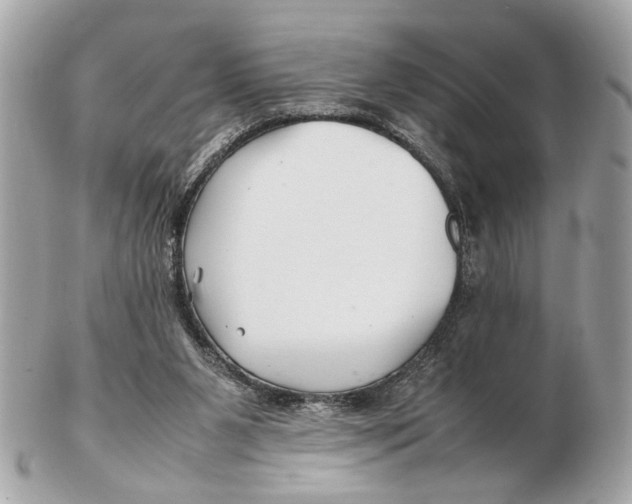 X0000102510111200808291743