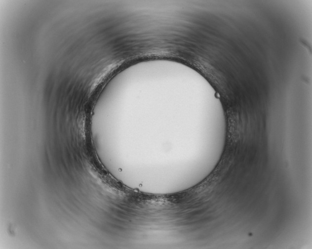 X0000102510112200808291743
