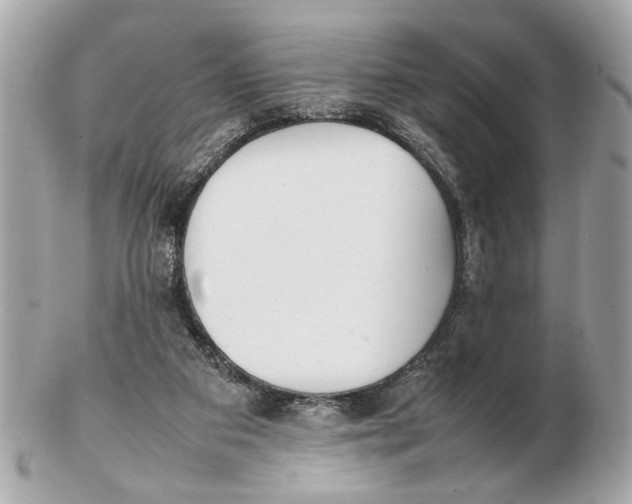 X0000102510113200808291743