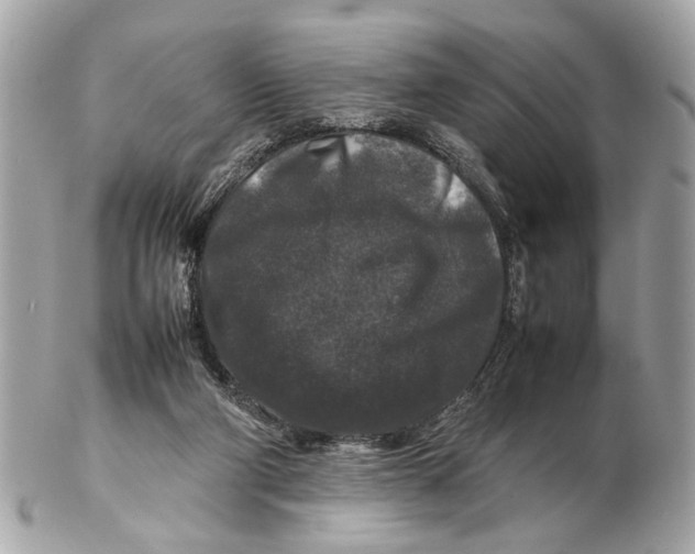 X0000102510114200808291743