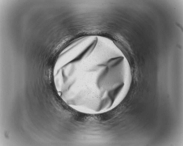 X0000102510115200808291743