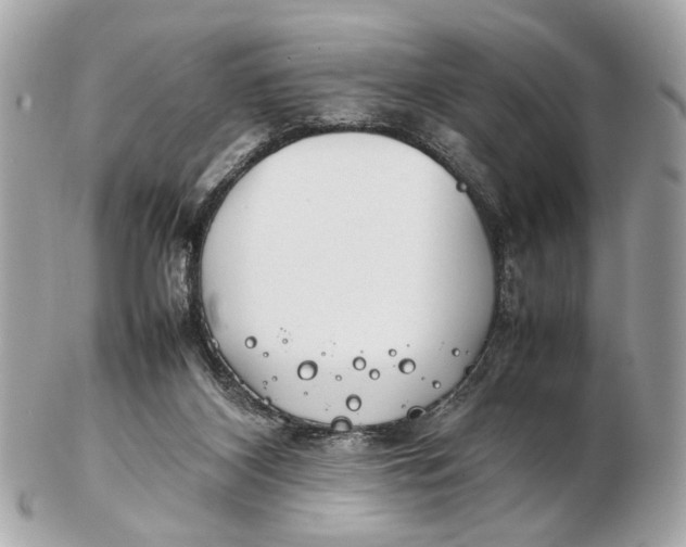 X0000102510116200808291743