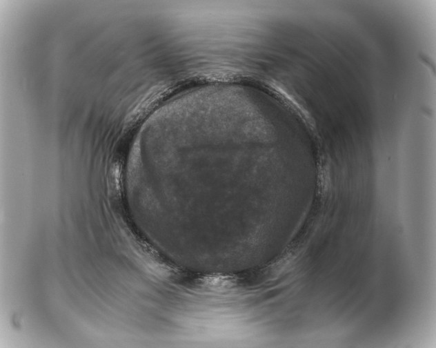 X0000102510117200808291743