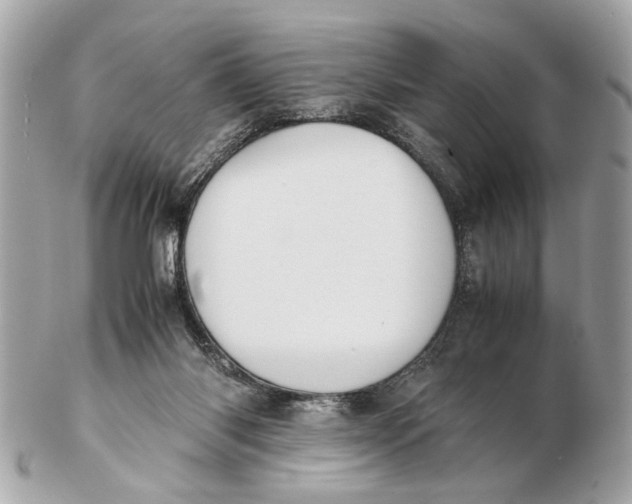 X0000102510118200808291743