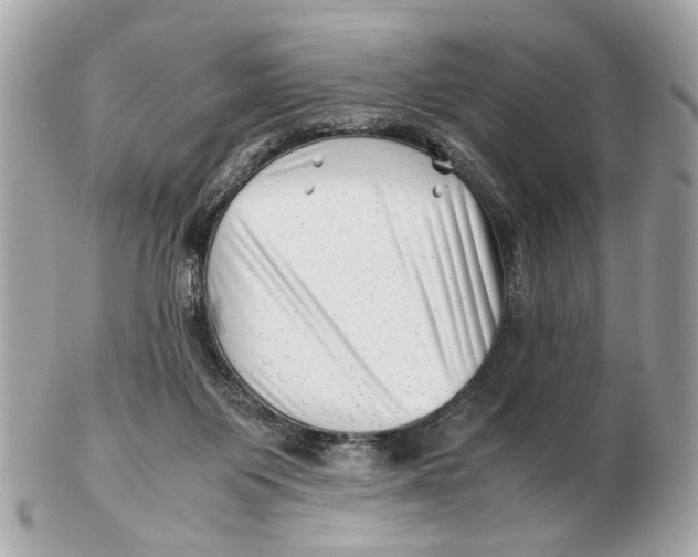 X0000102510119200808291743