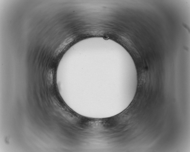 X0000102510120200808291743