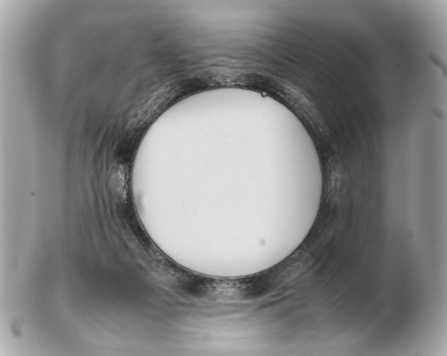 X0000102510121200808291743