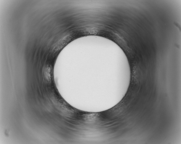 X0000102510122200808291743