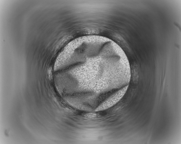 X0000102510123200808291743