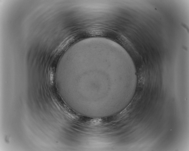 X0000102510124200808291743