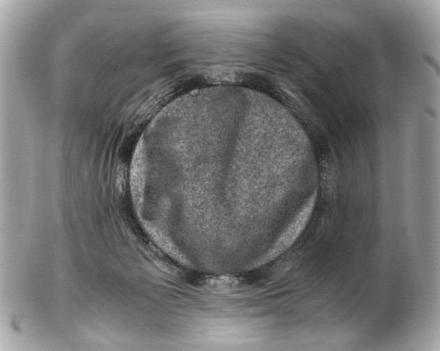 X0000102510125200808291743