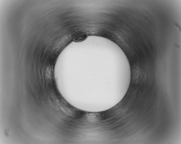 X0000102510126200808291743