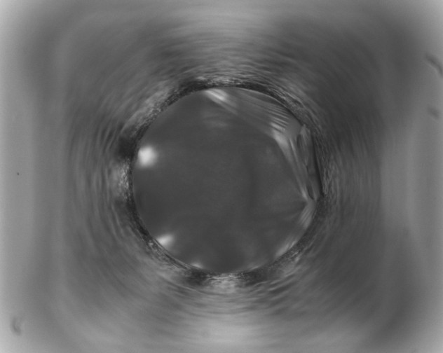 X0000102510127200808291743