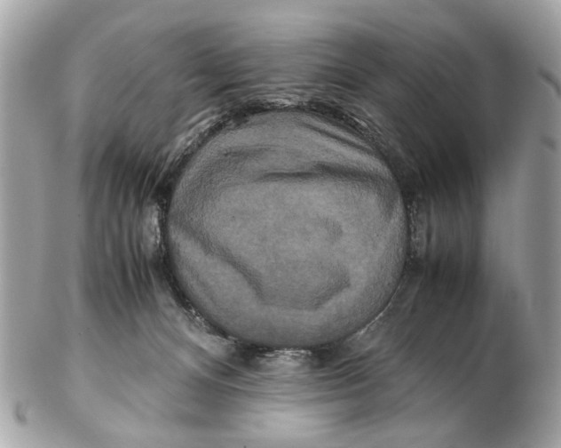 X0000102510128200808291743