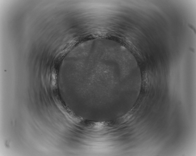 X0000102510130200808291742