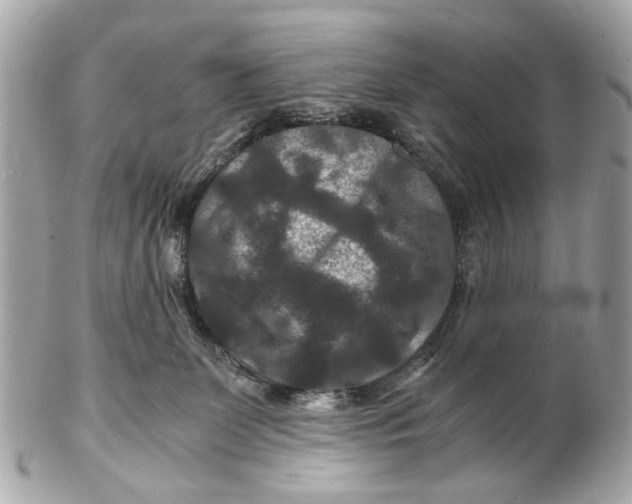 X0000102510131200808291742
