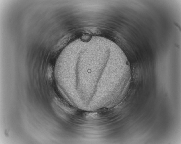 X0000102510132200808291742
