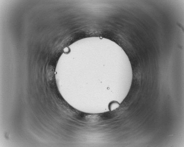 X0000102510133200808291742