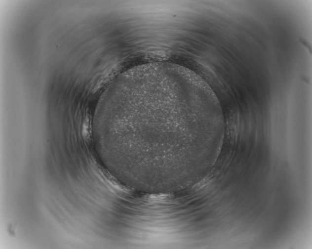 X0000102510134200808291742