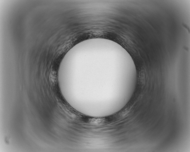 X0000102510135200808291742