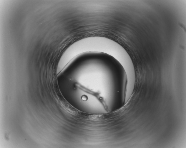 X0000102510136200808291742