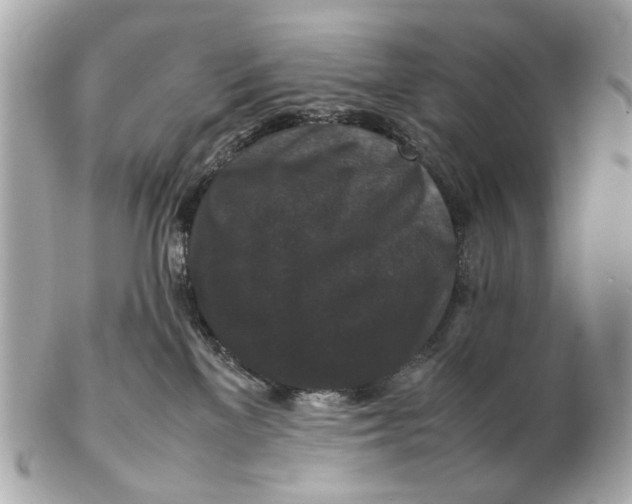 X0000102510137200808291742