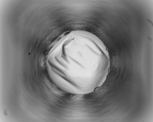 X0000102510138200808291742