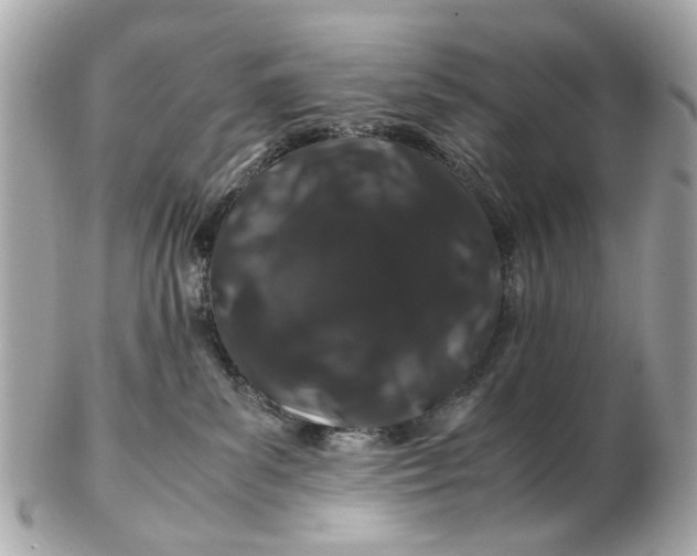 X0000102510139200808291742