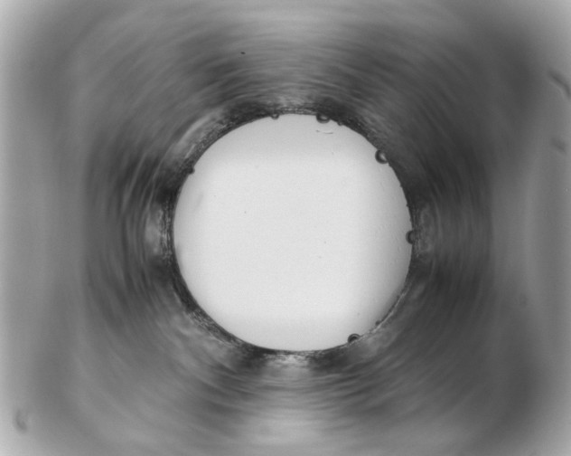 X0000102510140200808291742
