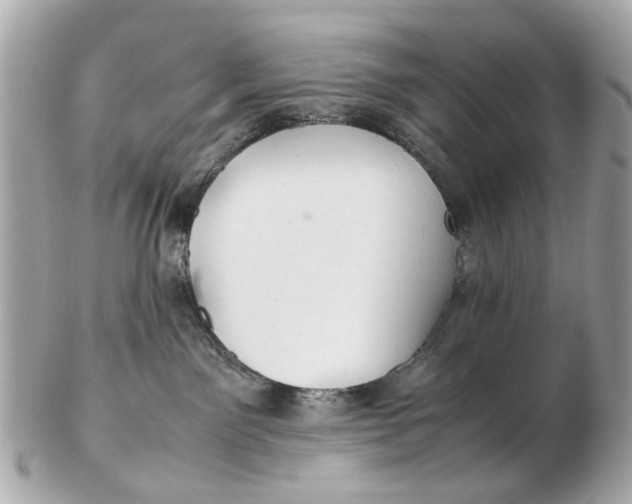 X0000102510141200808291742