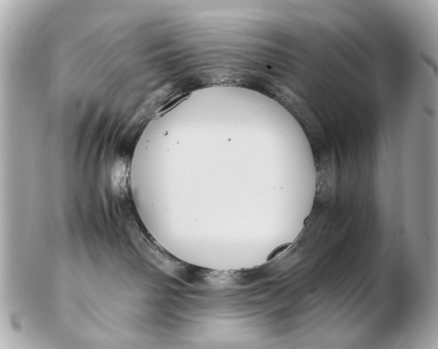 X0000102510142200808291742