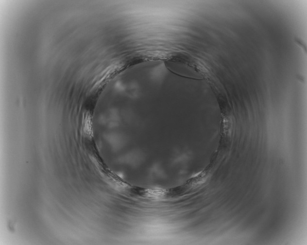 X0000102510143200808291742