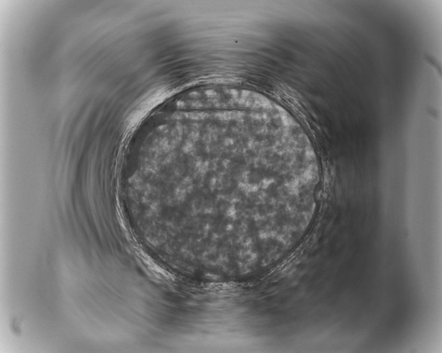 X0000102510145200808291741