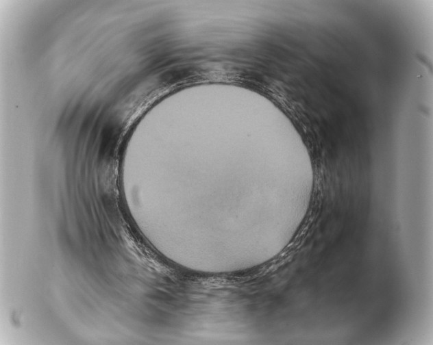 X0000102510146200808291741