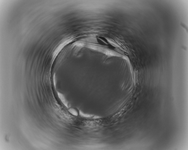 X0000102510147200808291741