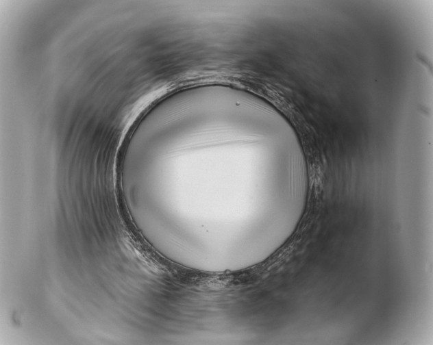 X0000102510148200808291741