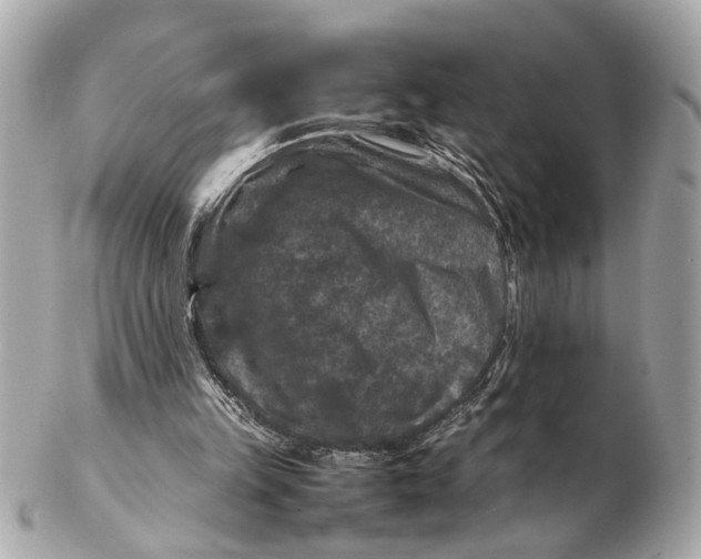 X0000102510149200808291742