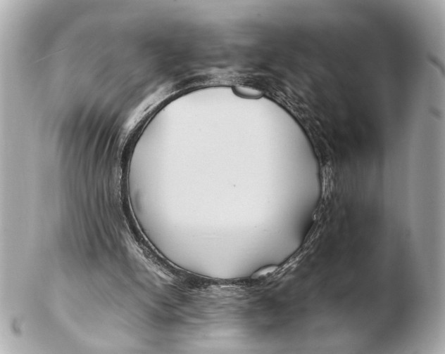 X0000102510150200808291742