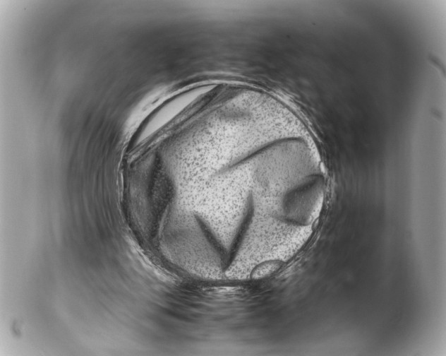 X0000102510151200808291742