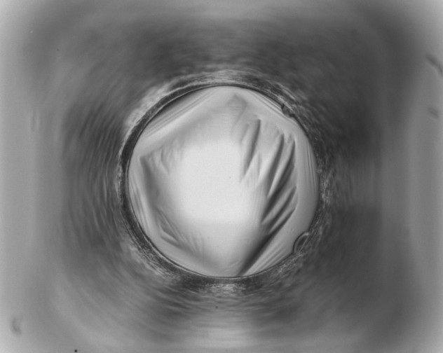 X0000102510152200808291742